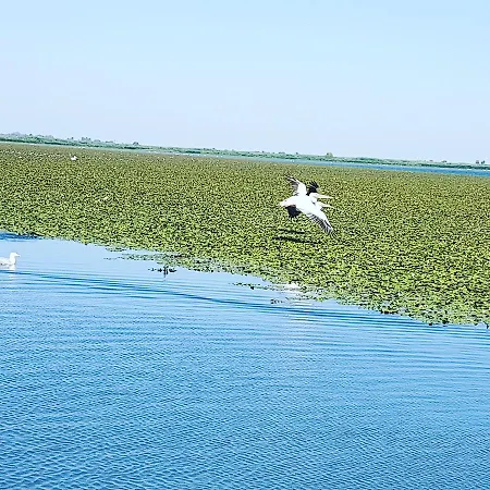 San-mar * Sulina